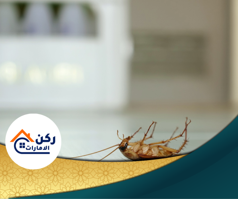 شركة مكافحة الصراصير