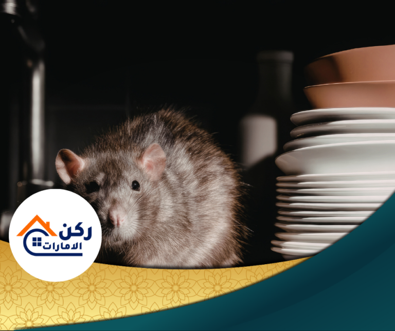 شركة مكافحة القوارض