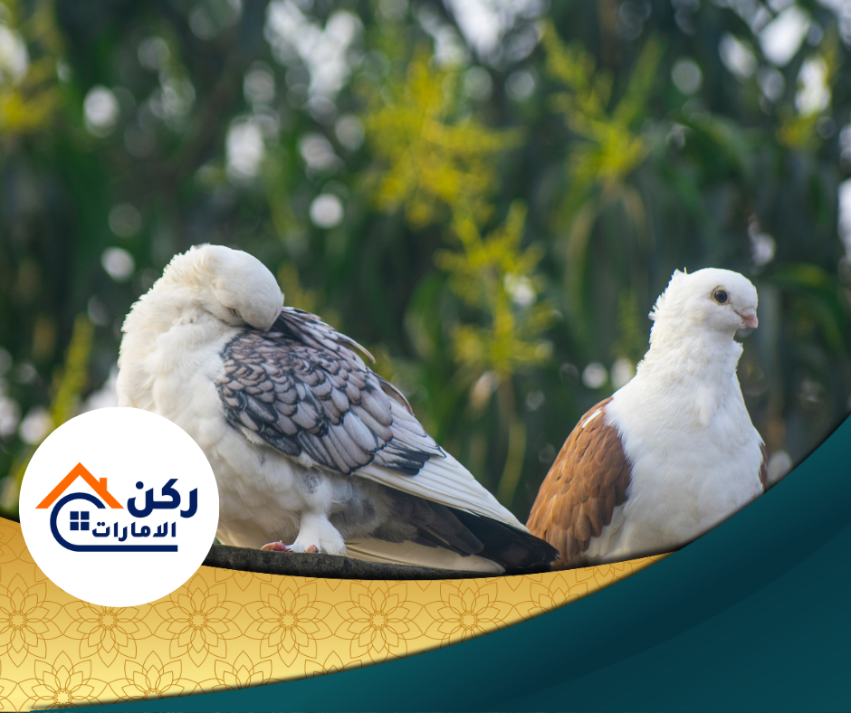 تركيب سلك الحمام