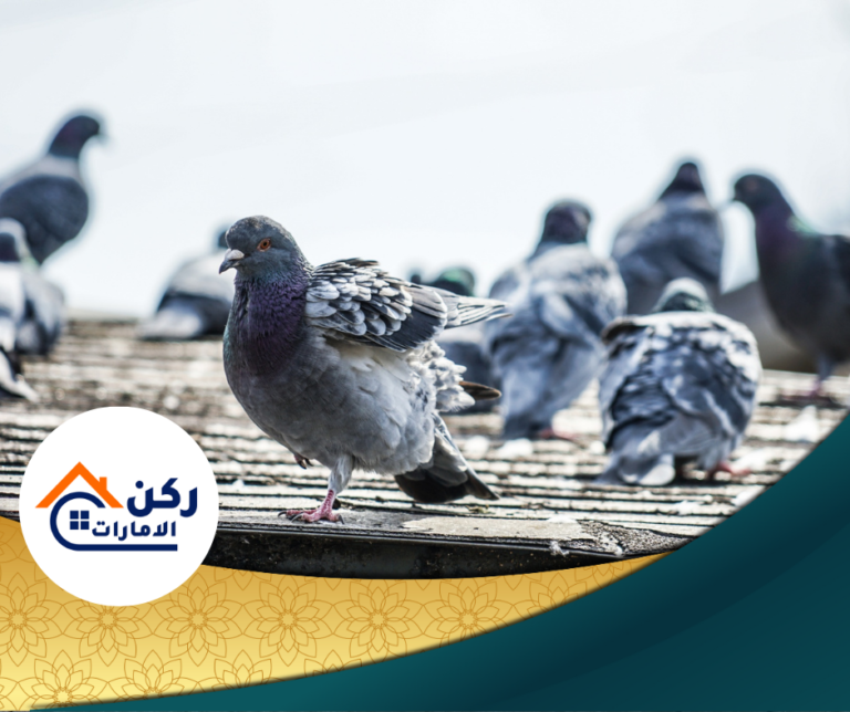 شركة تركيب طارد الحمام