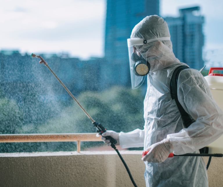 شركة رش حشرات