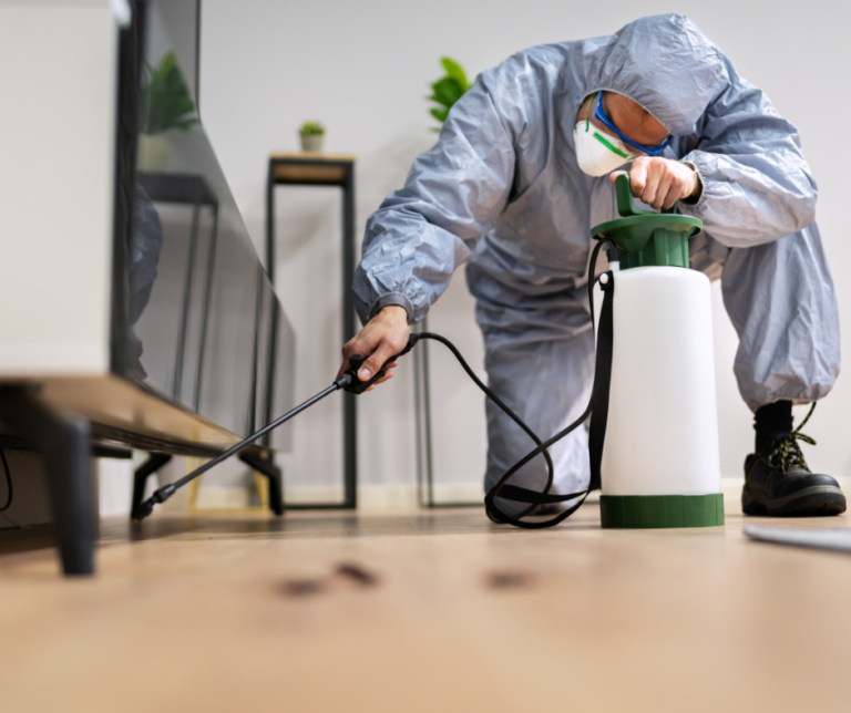 شركة مكافحة حشرات في دبي 0564777188 خصم 35%